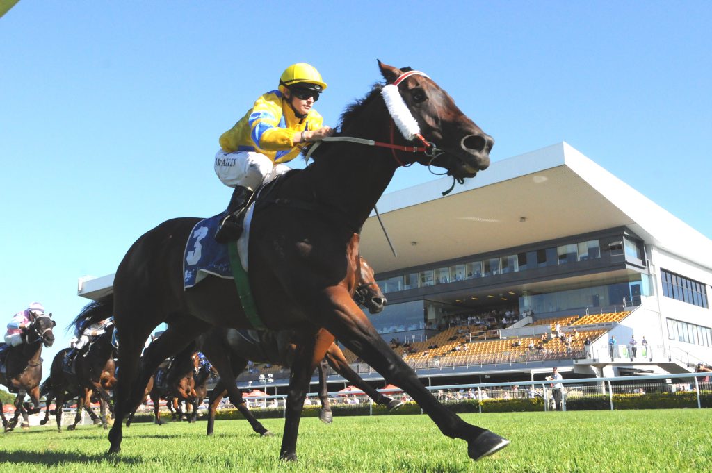 ROMA RAIDER: Blow A Kiss will run in tomorrow’s $50,000 Roma Cup. ROMA RAIDER: Blow A Kiss will run in tomorrow’s $50,000 Roma Cup.